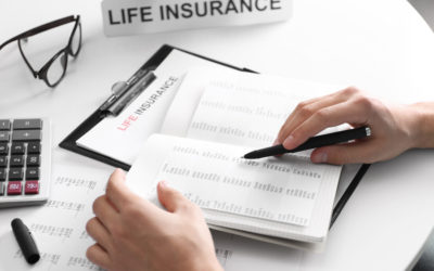 Term vs Whole Life Insurance: All You Need to Know
